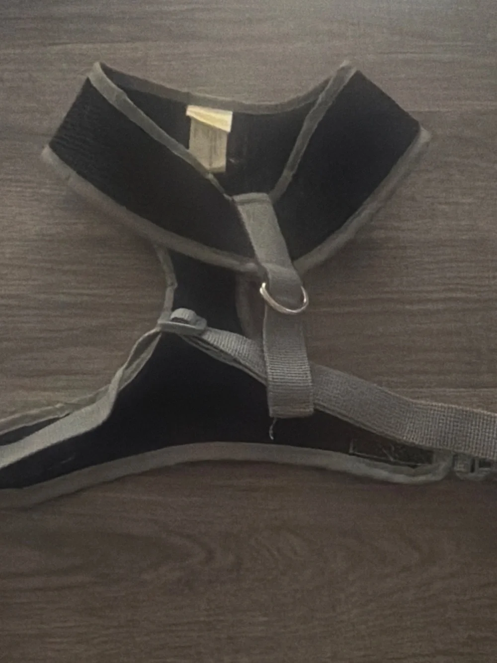 Comfort Mesh Dog Harness - Black